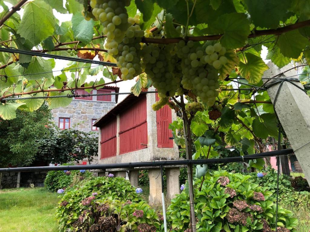 Quinta De Maderne Villa Felgueiras Exteriör bild