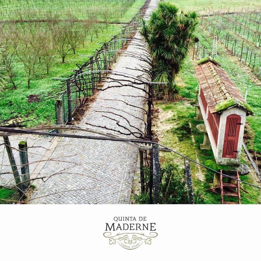 Quinta De Maderne Villa Felgueiras Exteriör bild