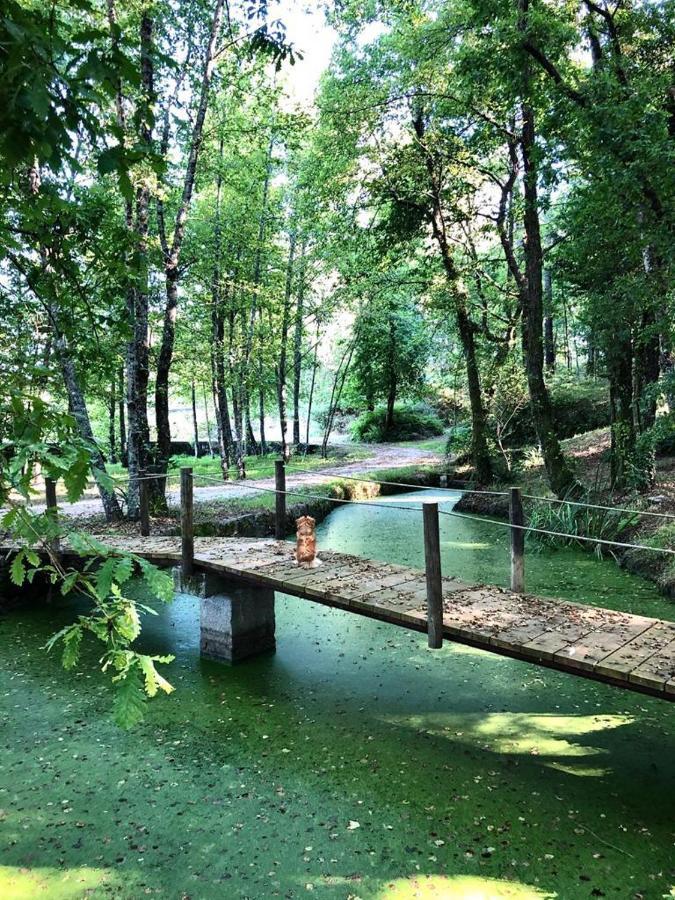 Quinta De Maderne Villa Felgueiras Exteriör bild
